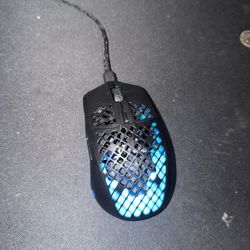 Mouse 