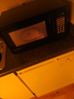 1000 Watt Microwave