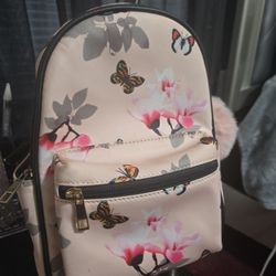 Back Pack Purse