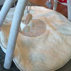 Pottery barn activity Gym