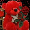 Donna