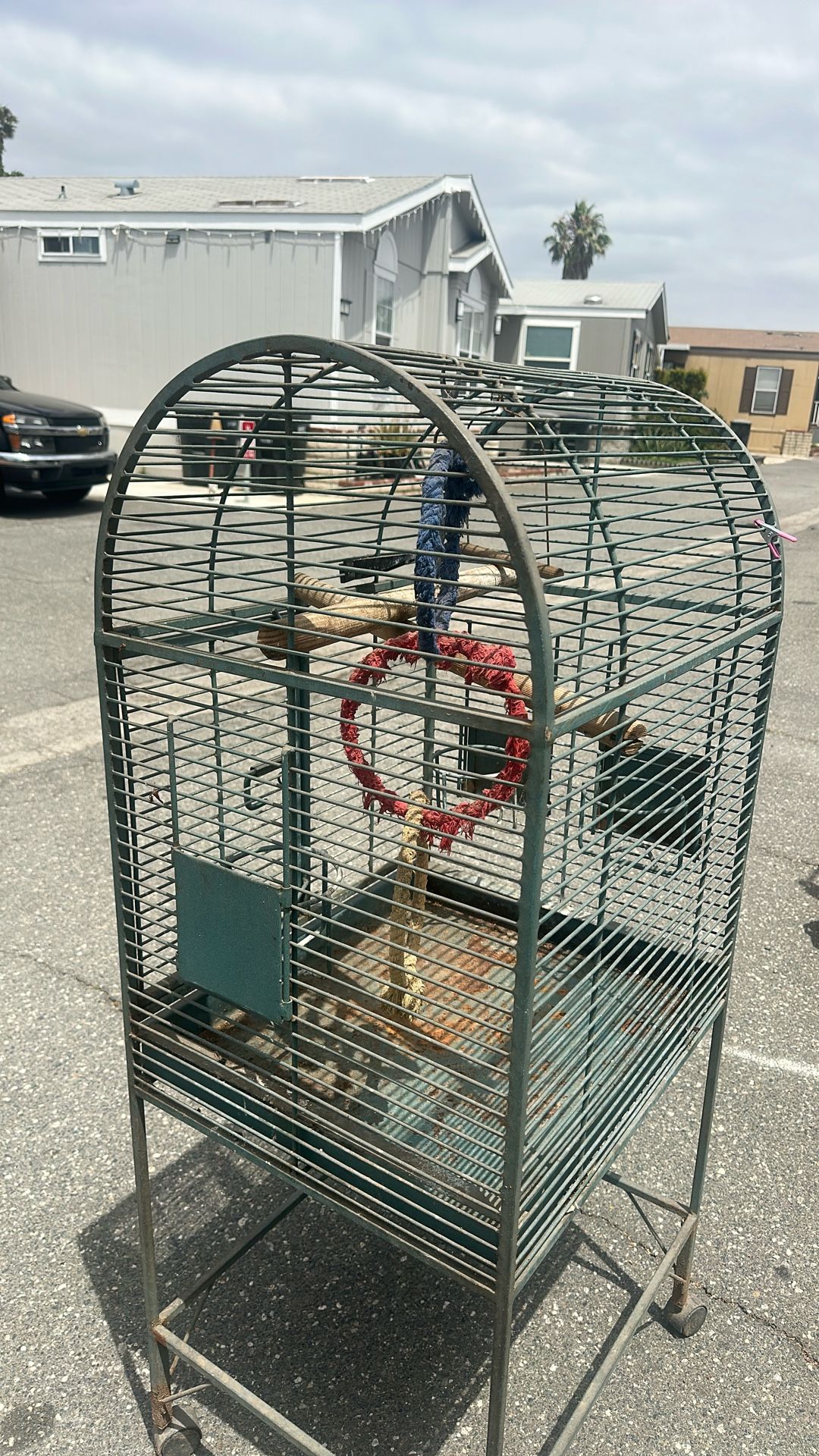 Bird Cage