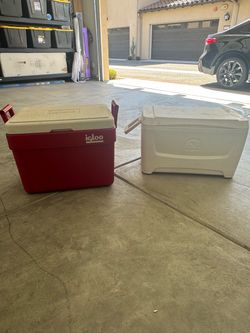 Free igloo coolers