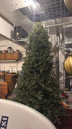 600  dollar Costco tree for 60 bucks