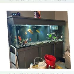 think happy High-End Aquarium Setup - Superior Quality Choice