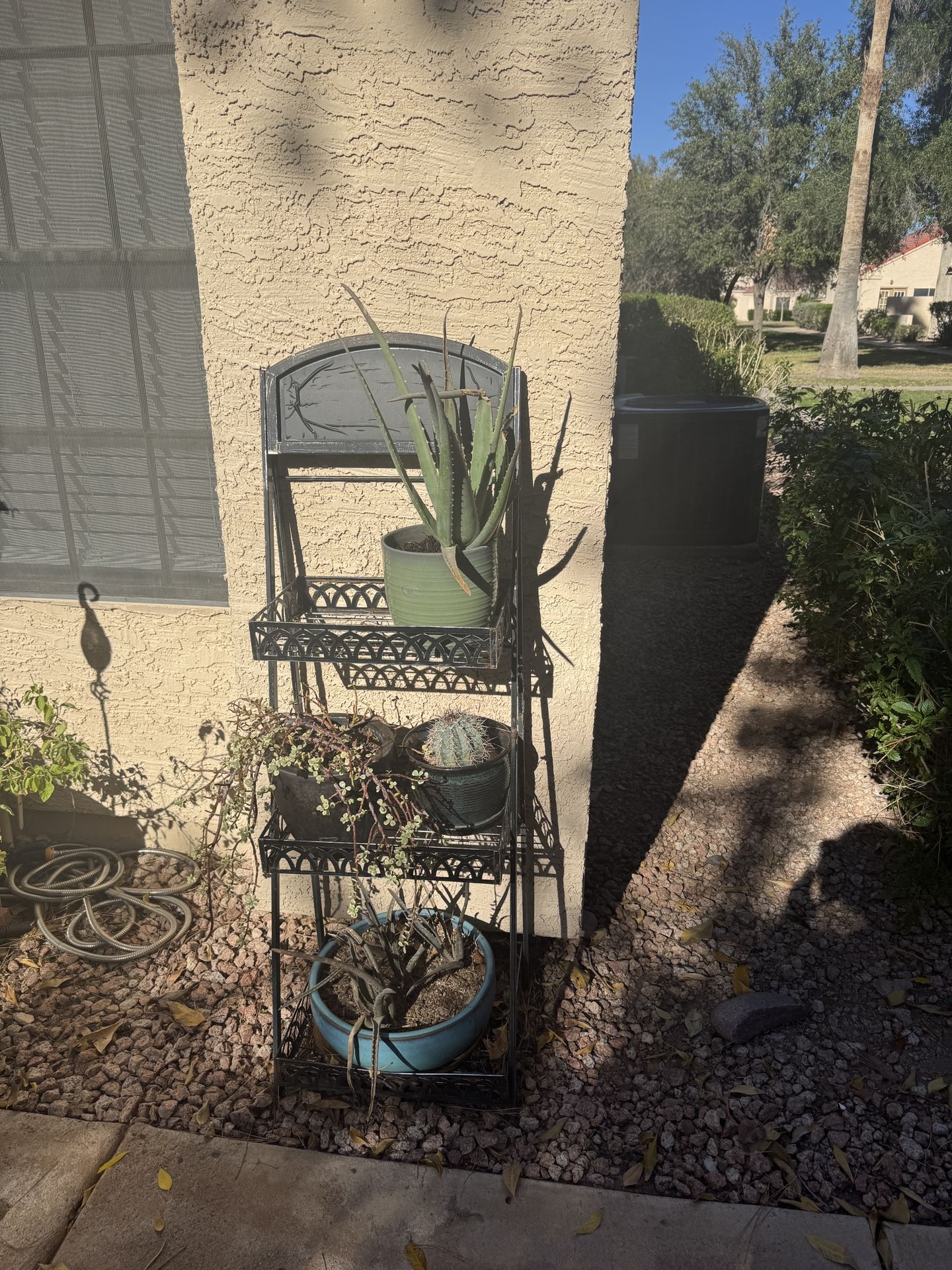 Plant Shelf And Plants