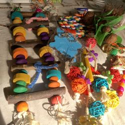 6 Pieces  Set Of Bird Toys 