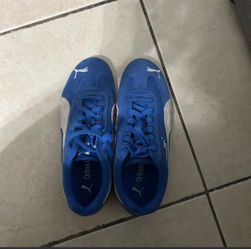 Blue Puma Speedcats