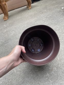 Plastic Pots