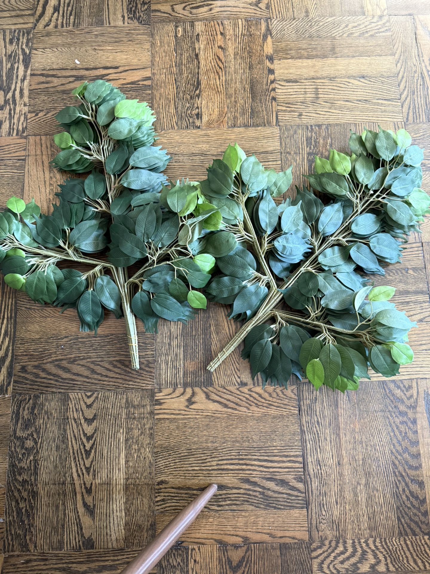 24 pack Ficus Silk Leaf branches