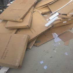 Cardboard 
