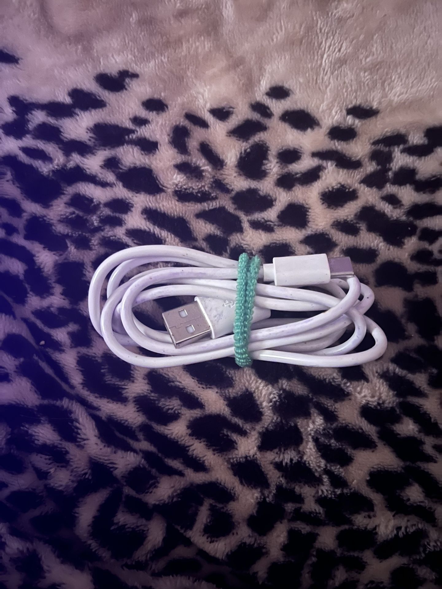 Type C Charger 