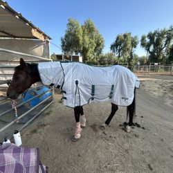 Horse Fly Sheet