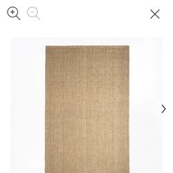 West elm Jute rug