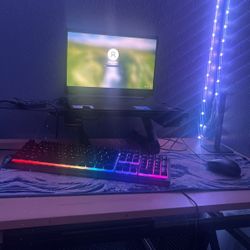 Gaming Setup 