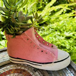 Succulent In A Pink Clay Shoe