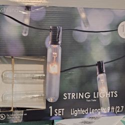 Ashland 9ft Test Tube String Lights