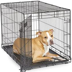 36" Foldable Dog Crate 