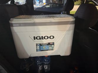 Igloo cooler