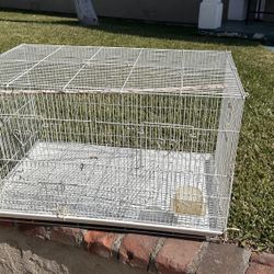 Bird cage