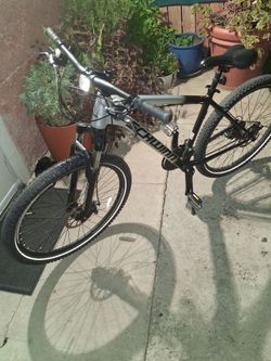 Schwinn al comp