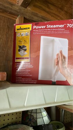 Wagner power steamer