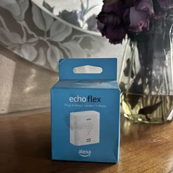 plug in smart speaker alexa 