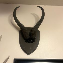 Springbok Horns 