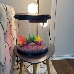 Color Changing Aquarium With Gravel And Decor . 