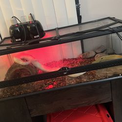 Reptile Terrarium. Sizes Are 3 Feet Long. 18 Inches Wide & 1 Foot Tall. 