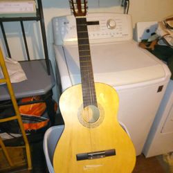 Acoustic Guitar 