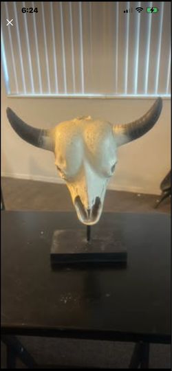Western Cow Bull Steer Skull with Horns white Desktop Tabletop home Decor rare