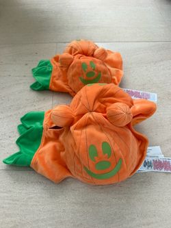 Dog costume Disney