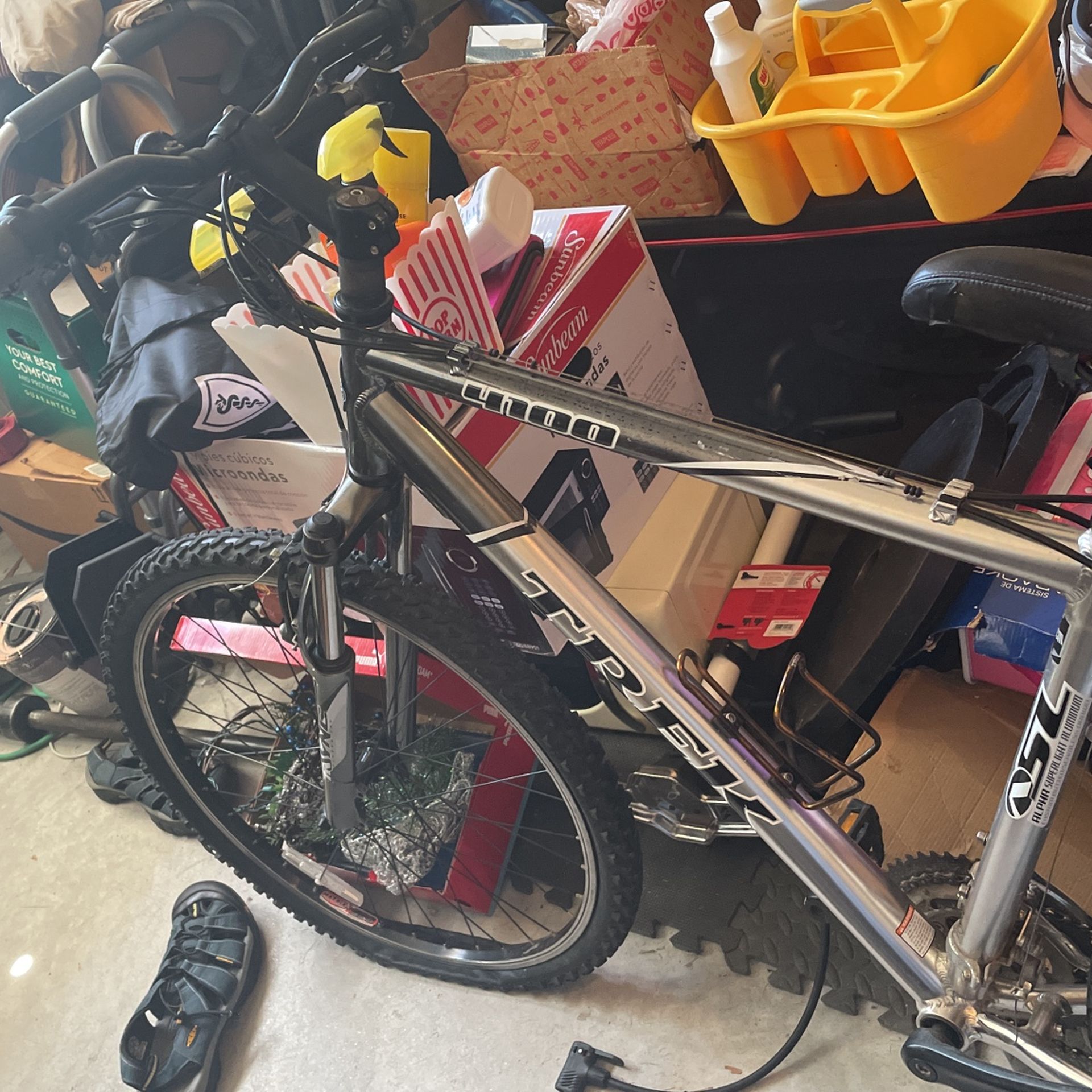 Adult Bike 