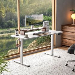 55” Electric Standing Desk