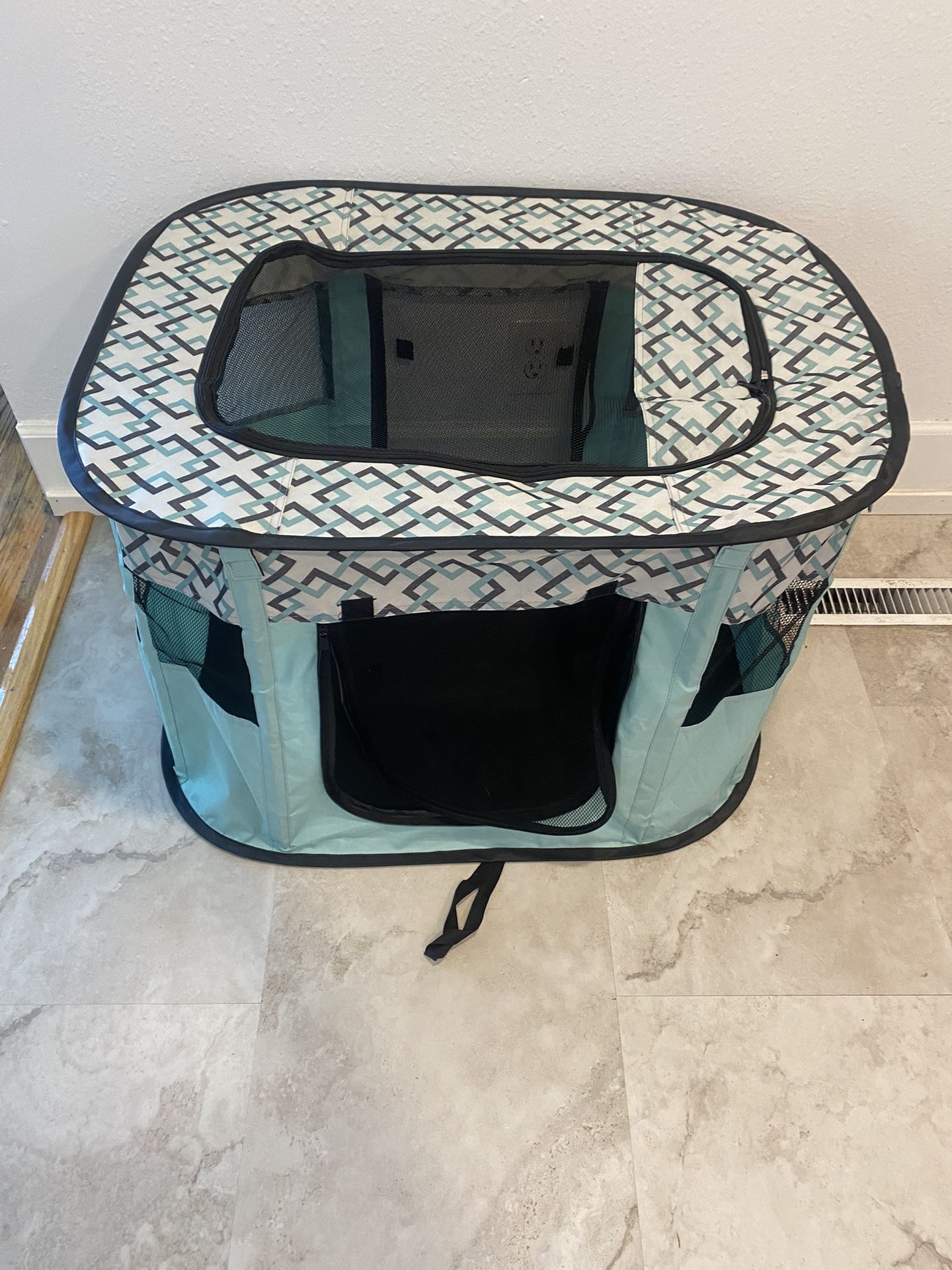 Pet Play/pin