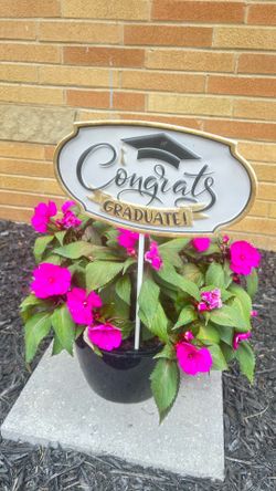 Graduation yard decor