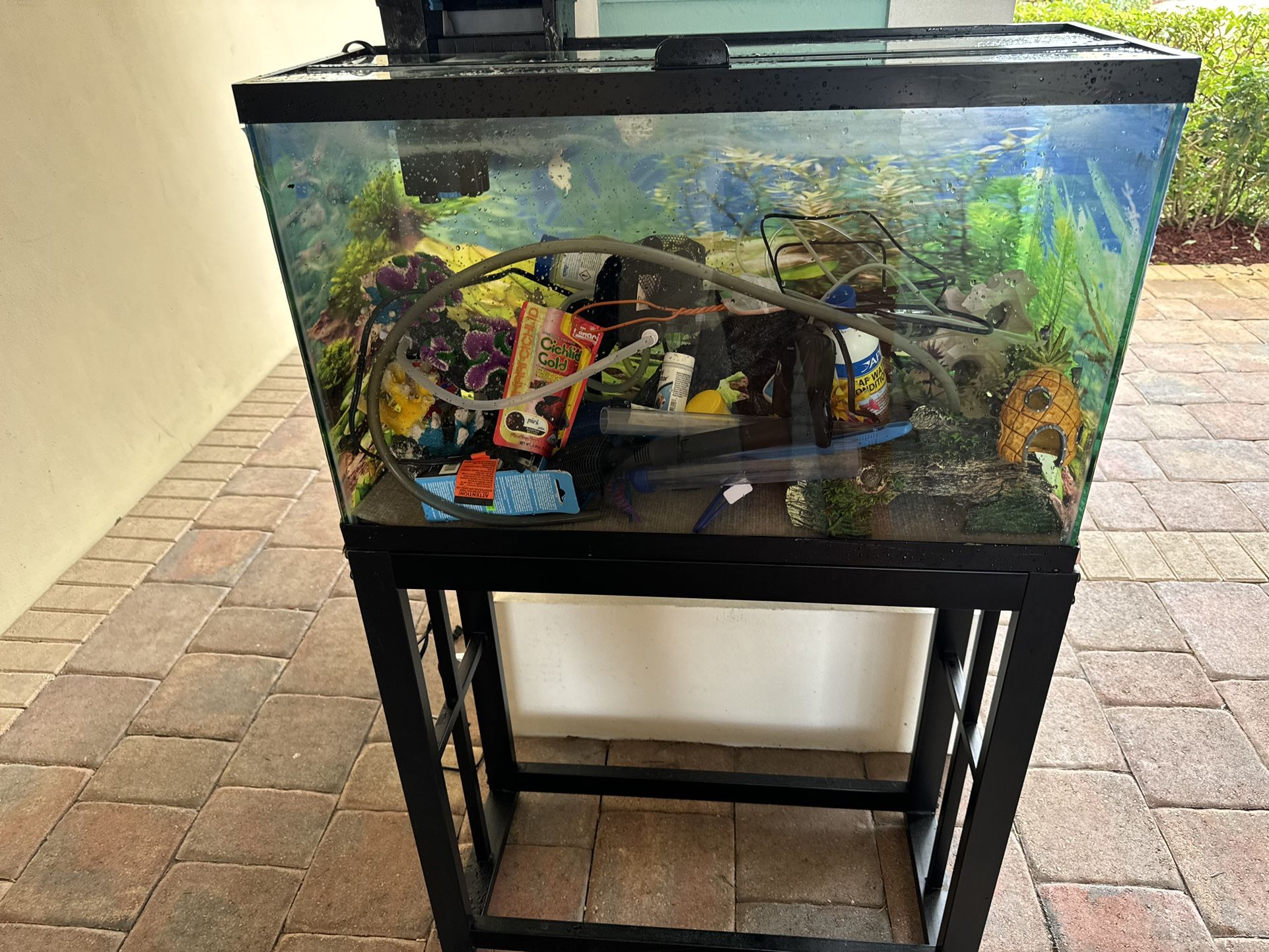 Fish Tank