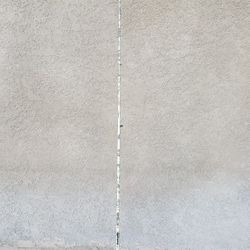 Fishing Pole- Dobyns 