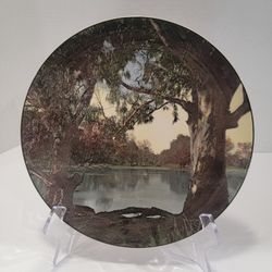 Royal Doulton Murray River Gums Collectible Plate - D6425, 1953-67, 10"