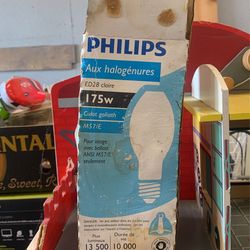 Light Bulb 