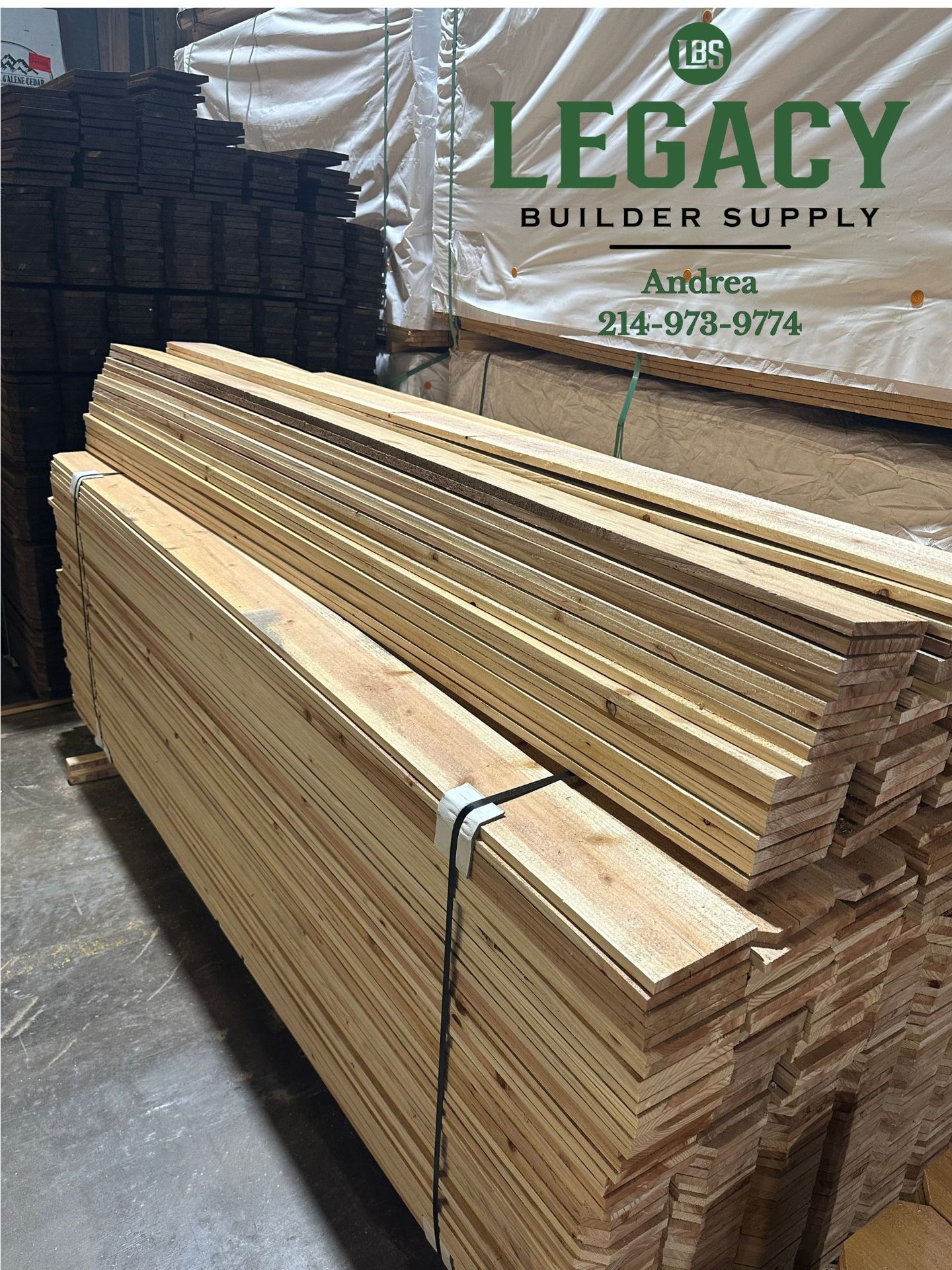 Cerca De 8’ Pies De Cedro