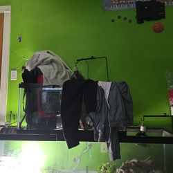 50 Gallon Tank 