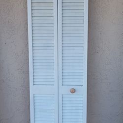 Skinny White Wood Bifold Door 