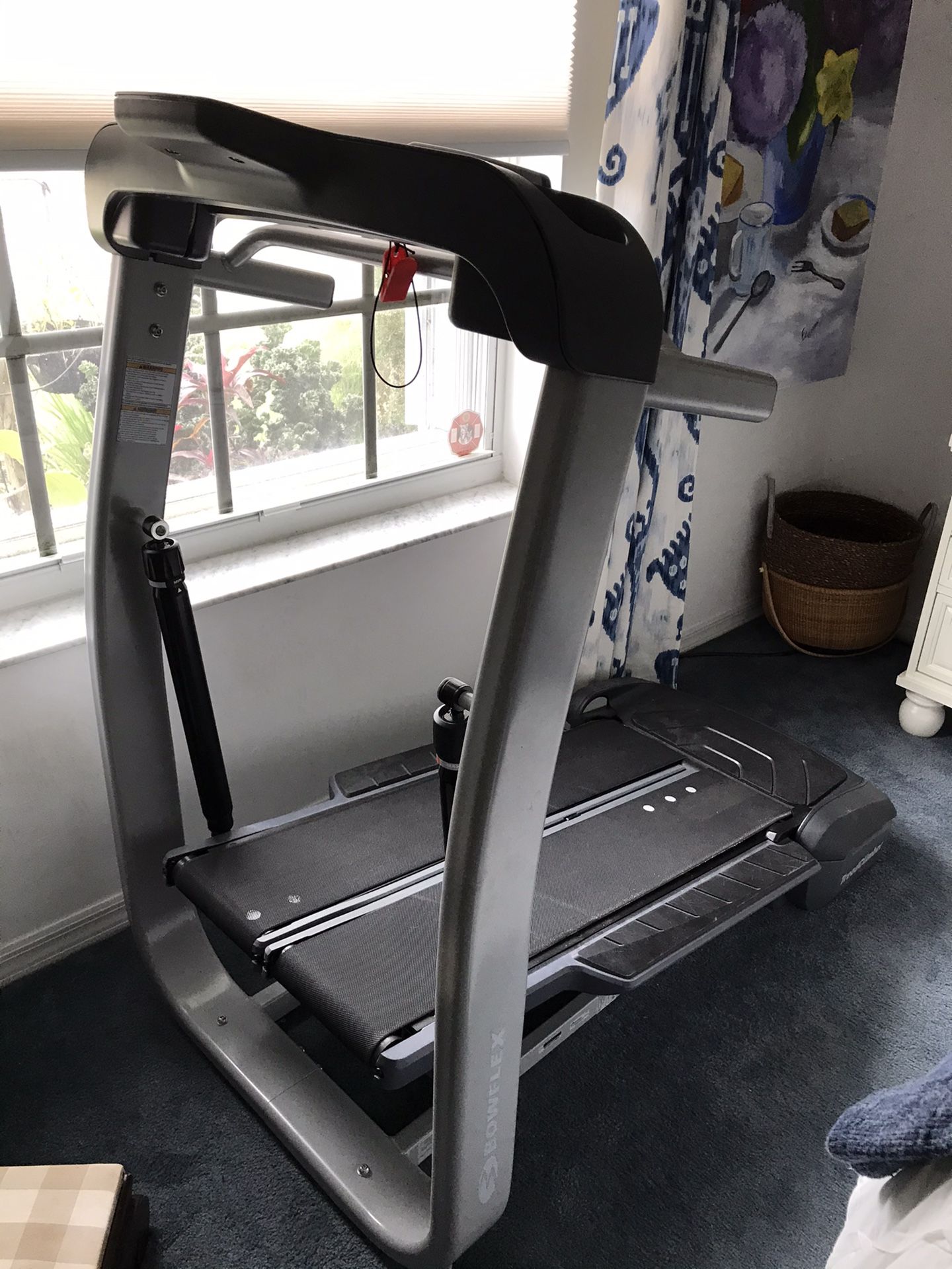 TC10 Treadclimer