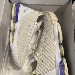 LeBron XVI