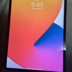 iPad 5th Gen 
