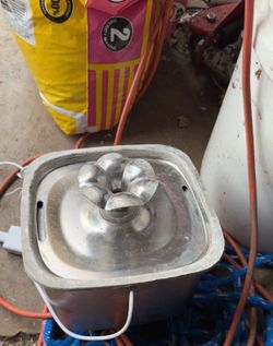 Free cat items