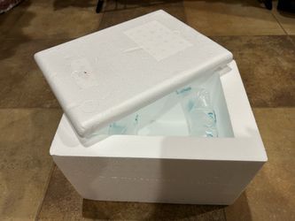 Styrofoam Cooler shipping boxes