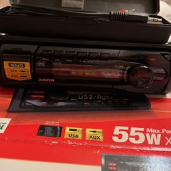 FM/AM Digital Media Player